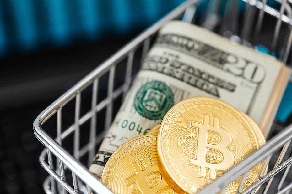 Online shopping carts can be set up to accept crypto payments and fiat money